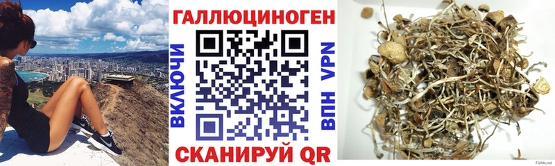 Галлюциногенные грибы Cubensis  Купить закладки  Жердевка 